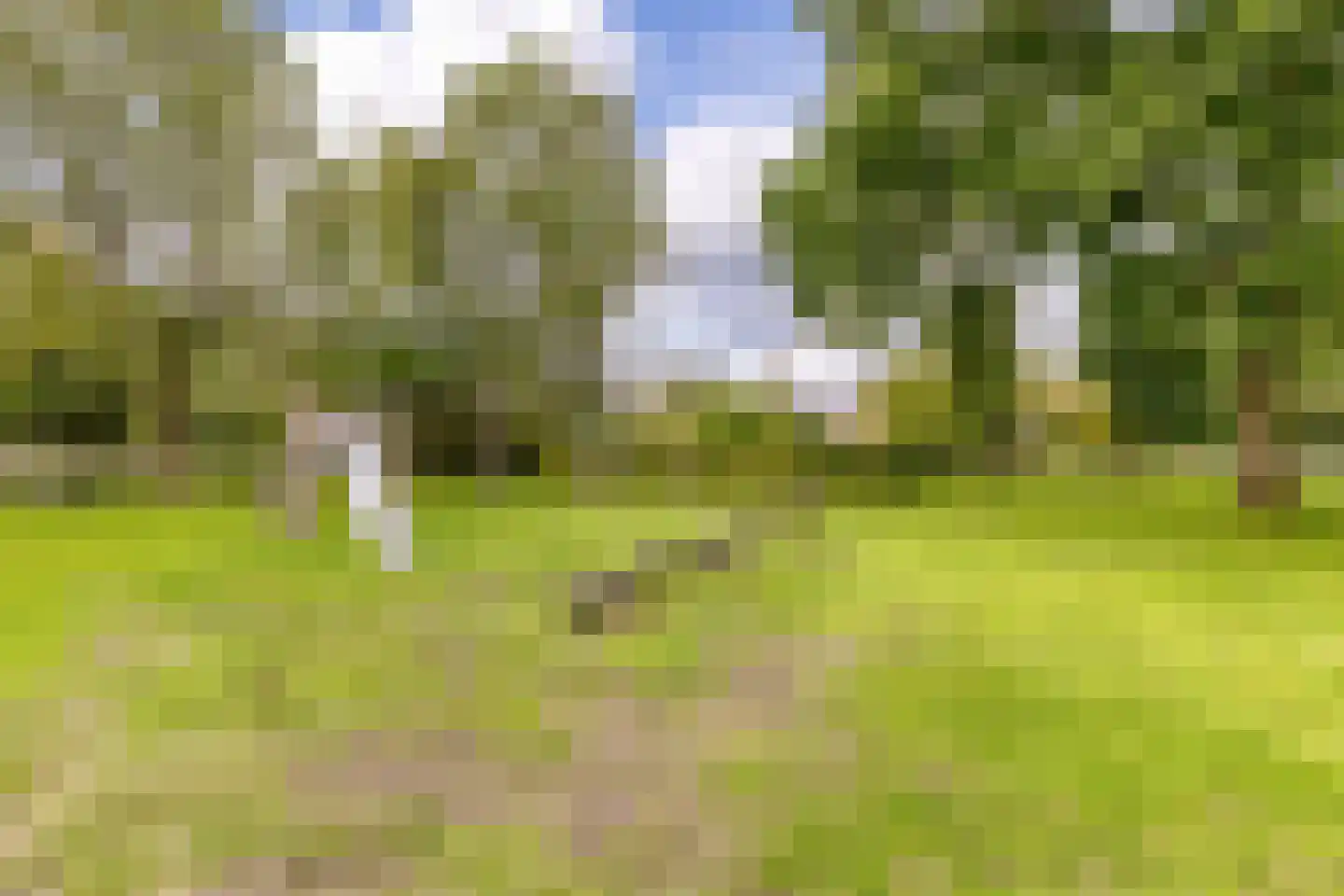 Vrieswijk 55 Heiloo thumbnail 31