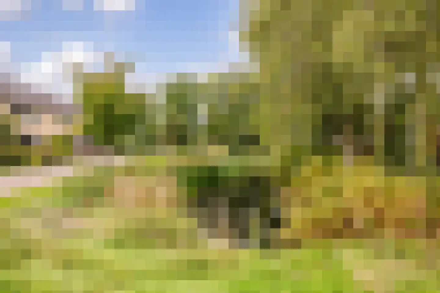 Vrieswijk 55 Heiloo thumbnail 32