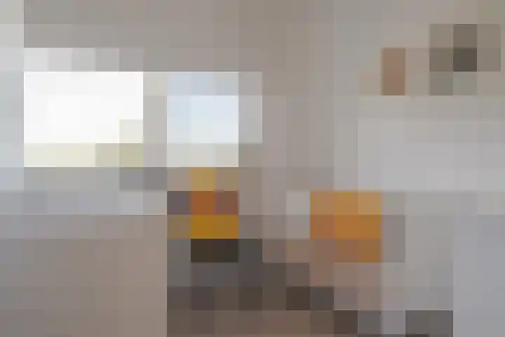 Vrieswijkstraat 21 Zwolle thumbnail 33