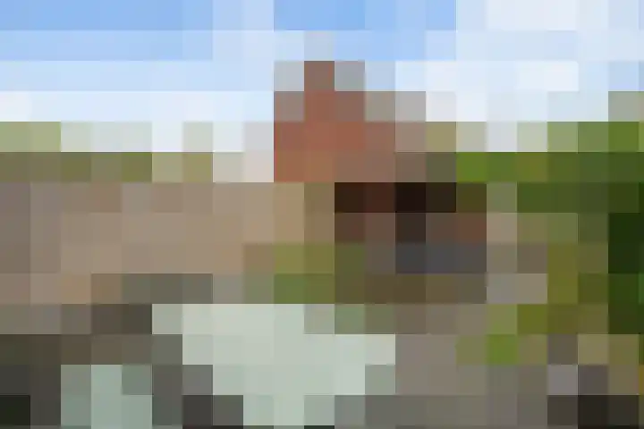 Vrieswijkstraat 7 Zwolle thumbnail 31