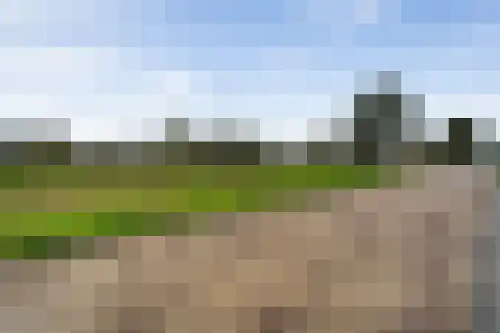 Vrieswijkstraat 7 Zwolle thumbnail 37