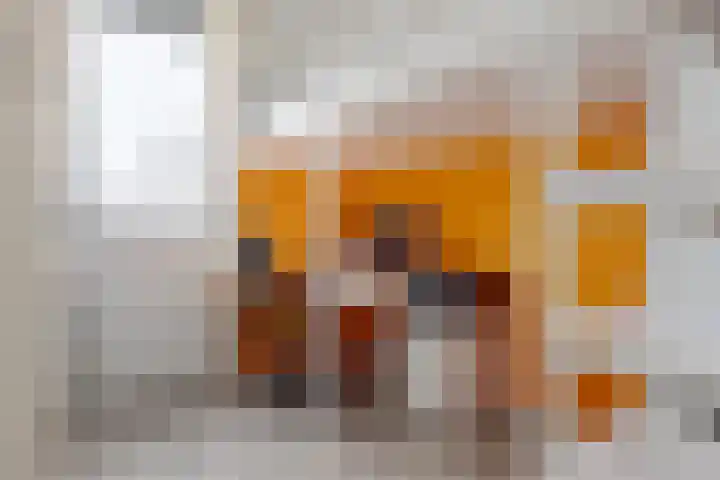 Vrieswijkstraat 9 Zwolle thumbnail 30