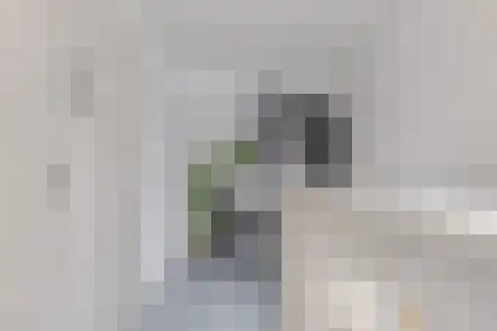 Vrieswijkstraat 9 Zwolle thumbnail 34