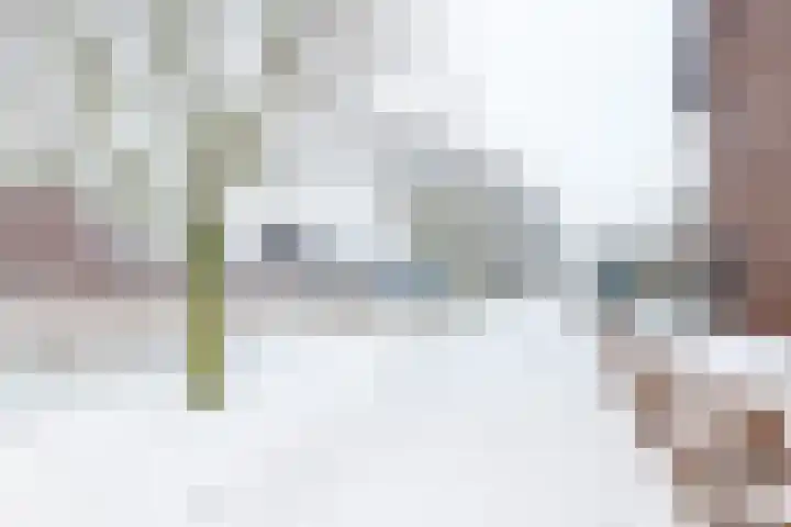 Vrieswijkstraat 9 Zwolle thumbnail 7