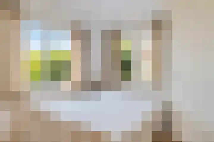 Vriezekoop 11 j R2 Leimuiden thumbnail 10