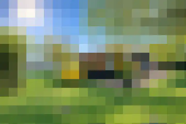 Vriezekoop 11 j R2 Leimuiden thumbnail 12