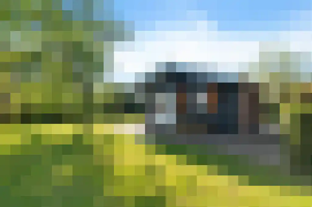 Vriezekoop 11 j R2 Leimuiden thumbnail 17
