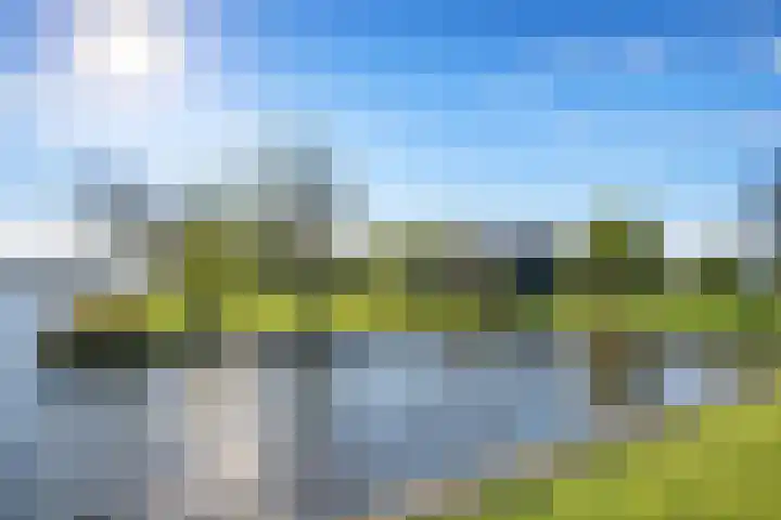 Vriezekoop 11 j R2 Leimuiden thumbnail 34