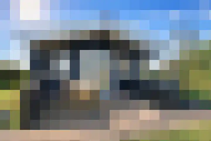 Vriezekoop 11 j R2 Leimuiden thumbnail 4