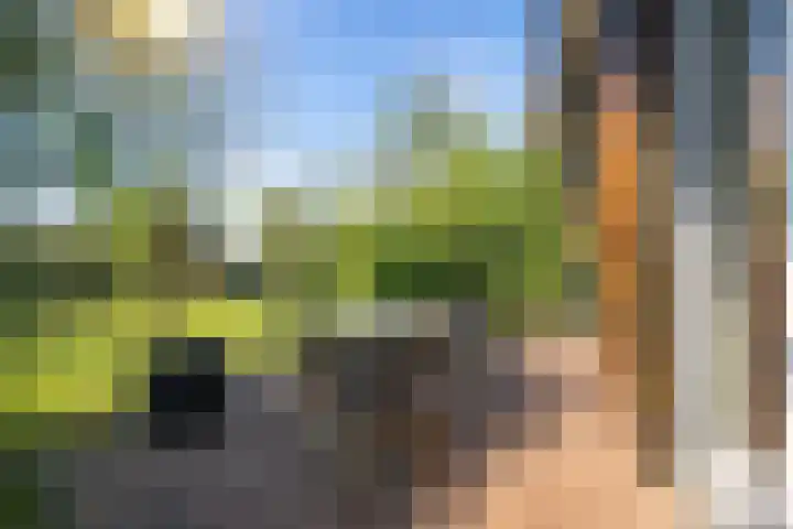 Vriezekoop 11 j R2 Leimuiden thumbnail 6