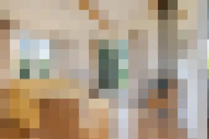 Vriezekoop 11 j R2 Leimuiden thumbnail 8