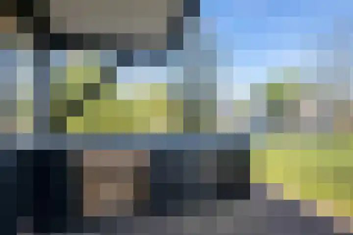 Vriezekoop 11 j R3 Leimuiden thumbnail 11