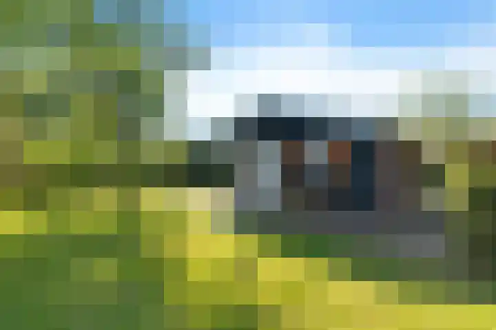 Vriezekoop 11 j R3 Leimuiden thumbnail 17