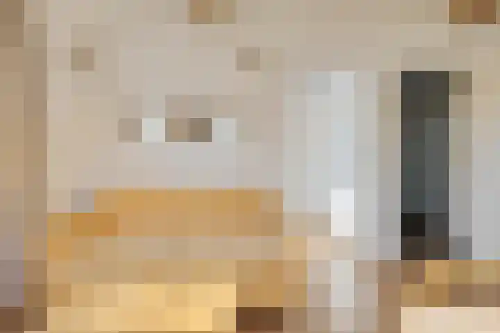 Vriezekoop 11 j R3 Leimuiden thumbnail 18