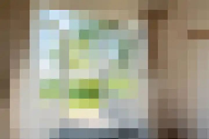 Vriezekoop 11 j R3 Leimuiden thumbnail 21