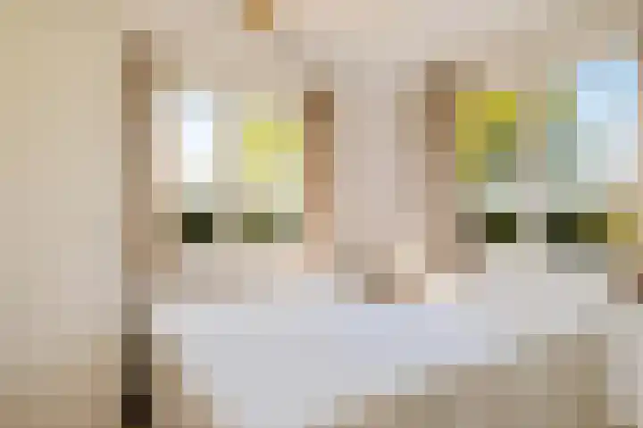Vriezekoop 11 j R3 Leimuiden thumbnail 30