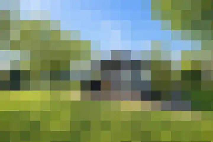 Vriezekoop 11 j R3 Leimuiden thumbnail 5