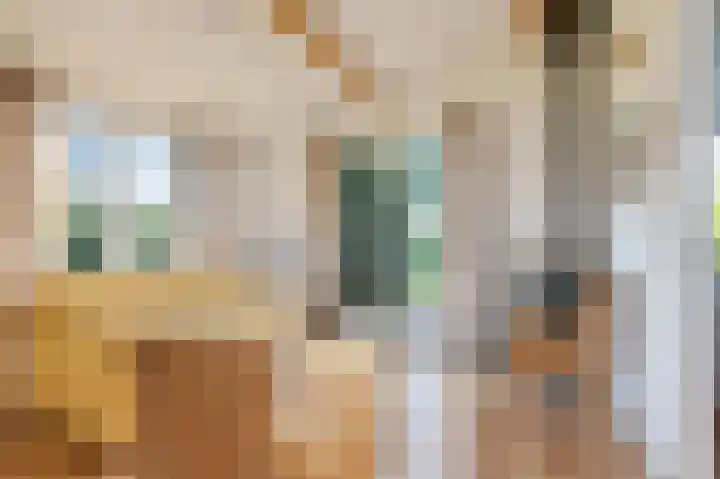 Vriezekoop 11 j R3 Leimuiden thumbnail 7