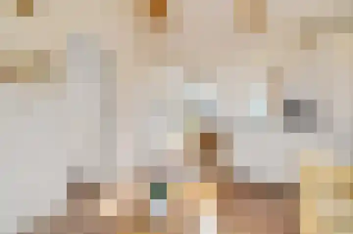 Vriezekoop 11 j R3 Leimuiden thumbnail 8