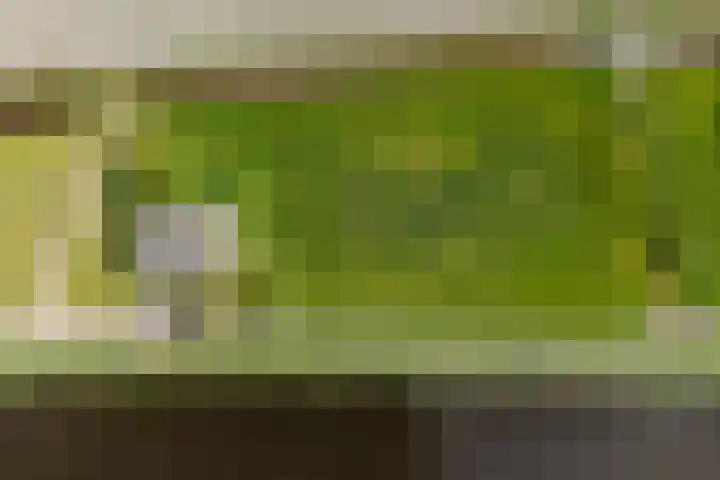 Vriezekoop 22 a Leimuiden thumbnail 10