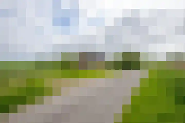 Vriezekoop 22 a Leimuiden thumbnail 15