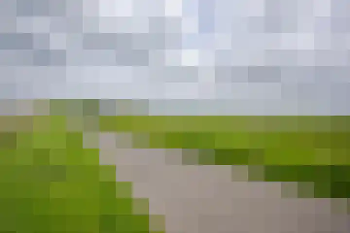 Vriezekoop 22 a Leimuiden thumbnail 16