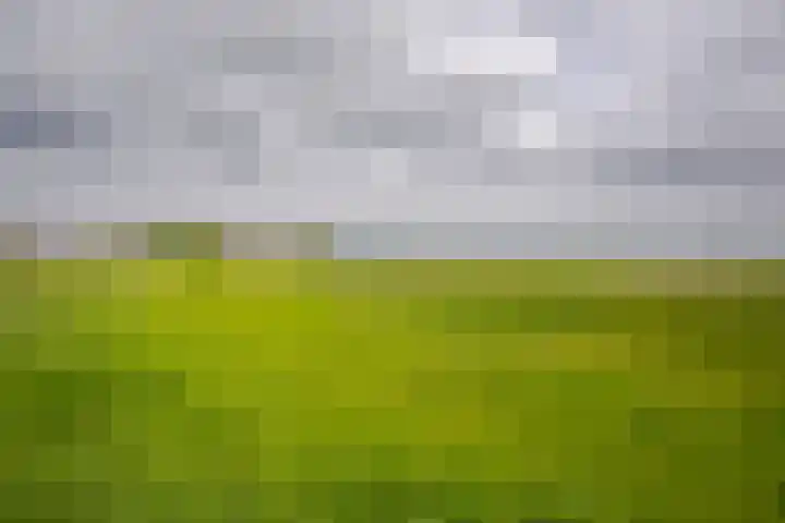 Vriezekoop 22 a Leimuiden thumbnail 17