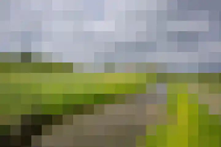 Vriezekoop 22 a Leimuiden thumbnail 18