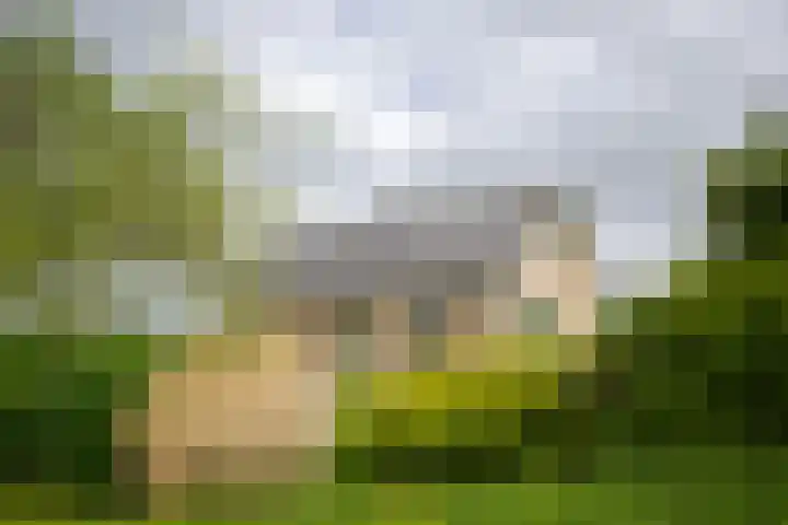 Vriezekoop 22 a Leimuiden thumbnail 20