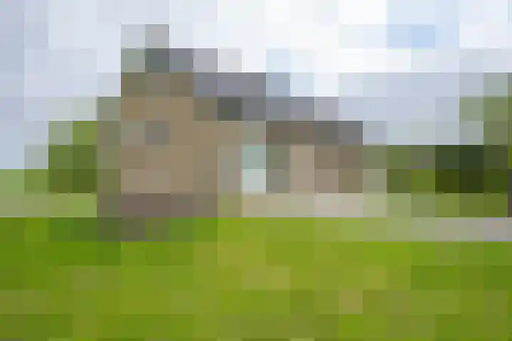 Vriezekoop 22 a Leimuiden thumbnail 21