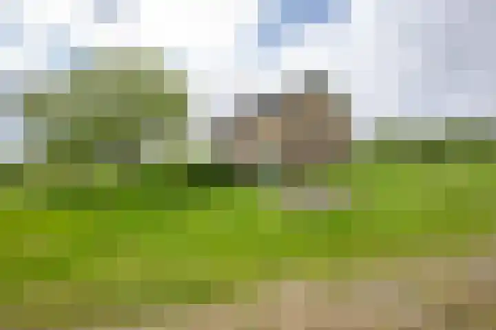 Vriezekoop 22 a Leimuiden thumbnail 23
