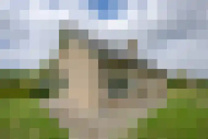 Vriezekoop 22 a Leimuiden thumbnail 25
