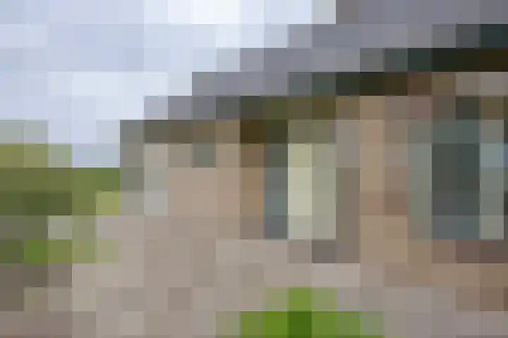 Vriezekoop 22 a Leimuiden thumbnail 29