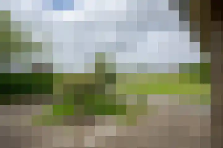Vriezekoop 22 a Leimuiden thumbnail 30