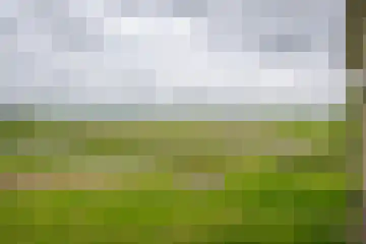 Vriezekoop 22 a Leimuiden thumbnail 31