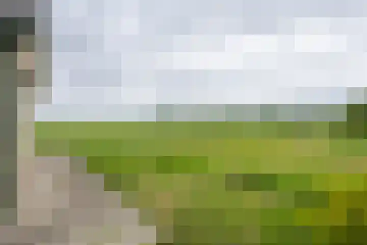 Vriezekoop 22 a Leimuiden thumbnail 32