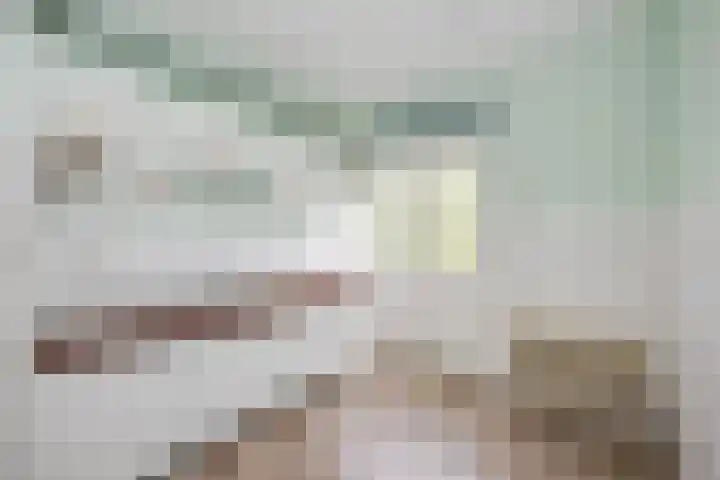 Vriezekoop 22 a Leimuiden thumbnail 42