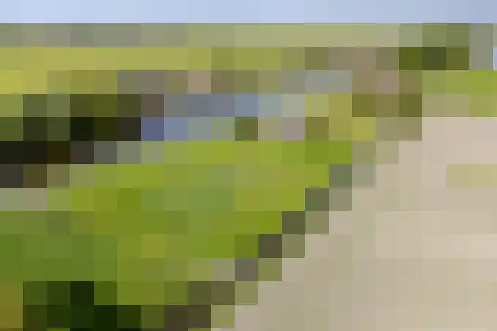 Vriezekoop 22 a Leimuiden thumbnail 5