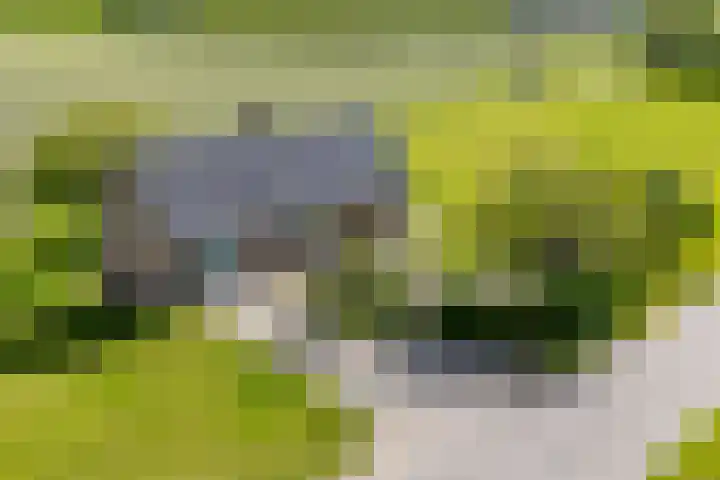 Vriezekoop 22 a Leimuiden thumbnail 9