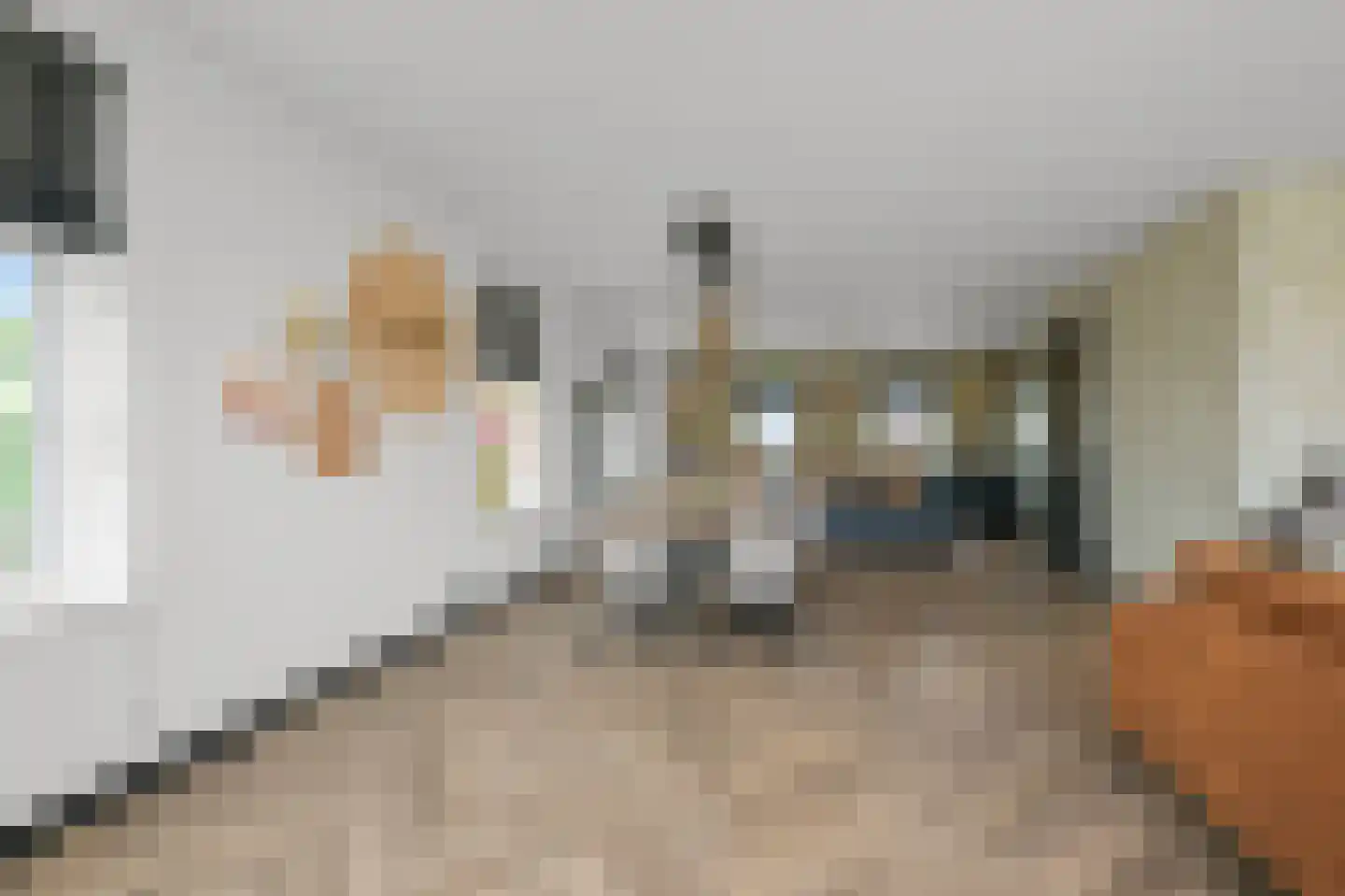 Vriezekoop 73 Leimuiden thumbnail 12