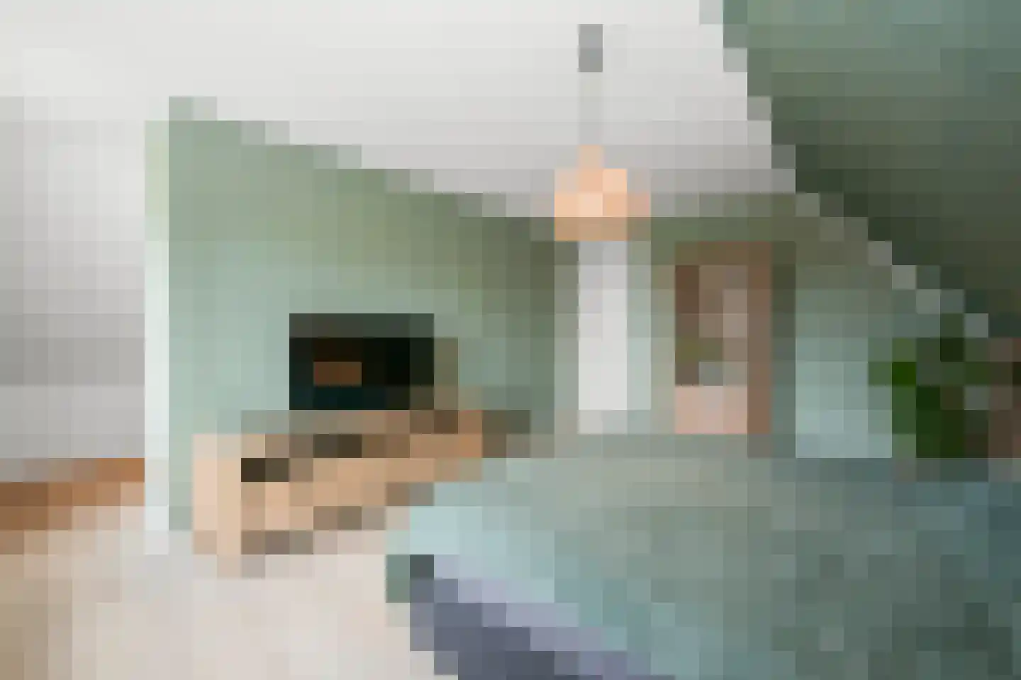 Vriezekoop 73 Leimuiden thumbnail 32