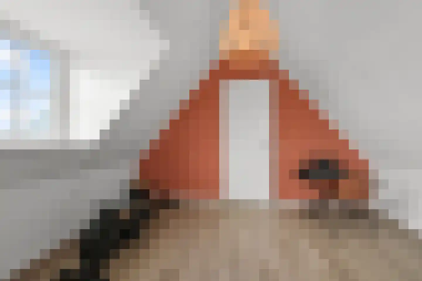 Vriezekoop 73 Leimuiden thumbnail 42