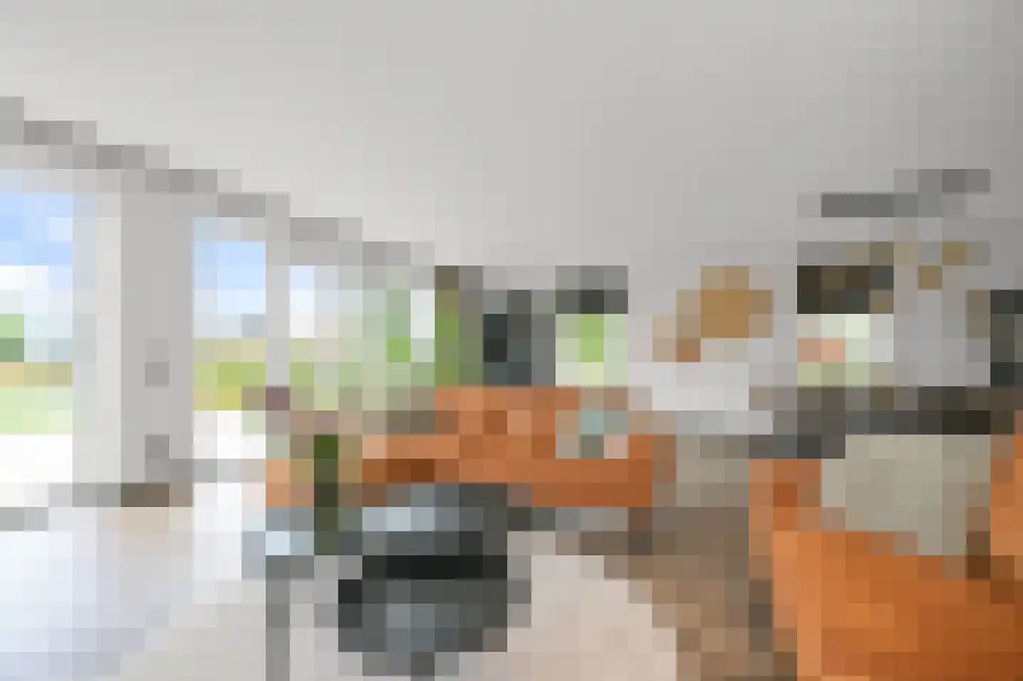 Vriezekoop 73 Leimuiden thumbnail 5