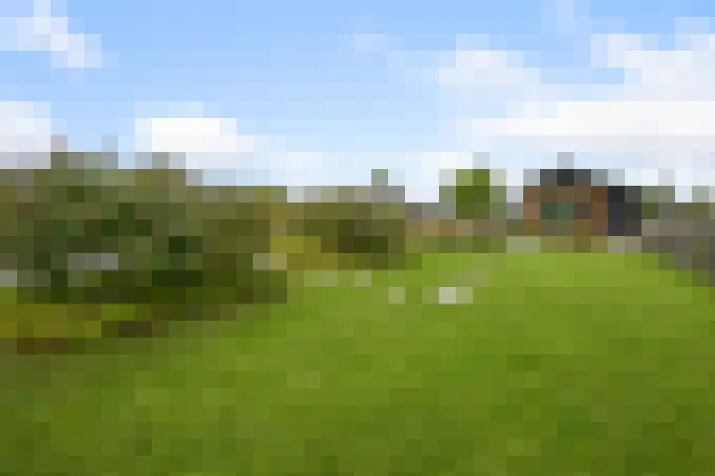 Vriezekoop 73 Leimuiden thumbnail 57