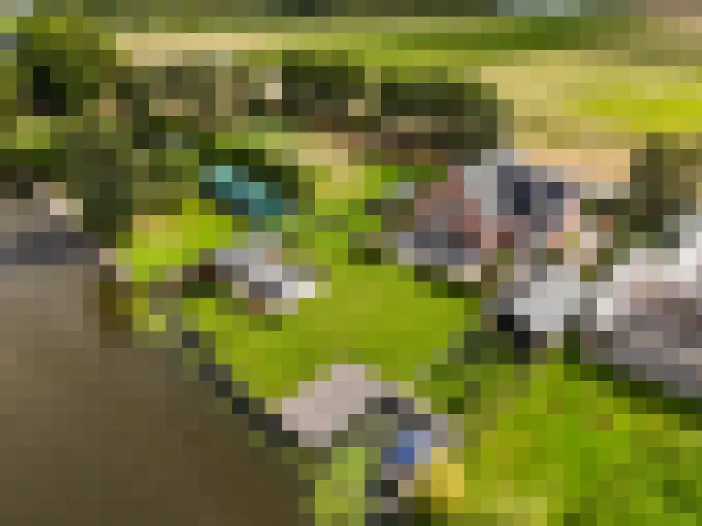 Vriezekoop 73 Leimuiden thumbnail 64