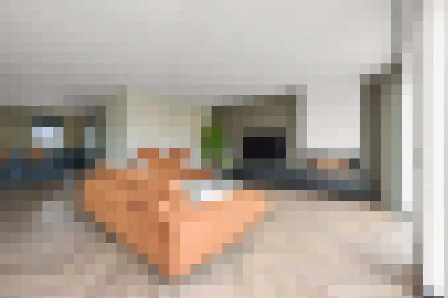 Vriezekoop 73 Leimuiden thumbnail 8