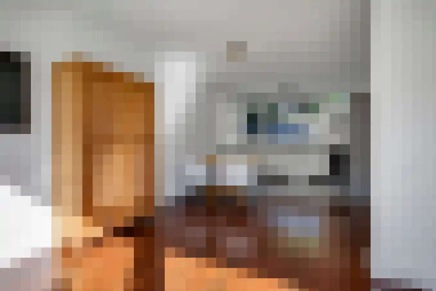 Vriezekooppad 10 Arnhem thumbnail 10