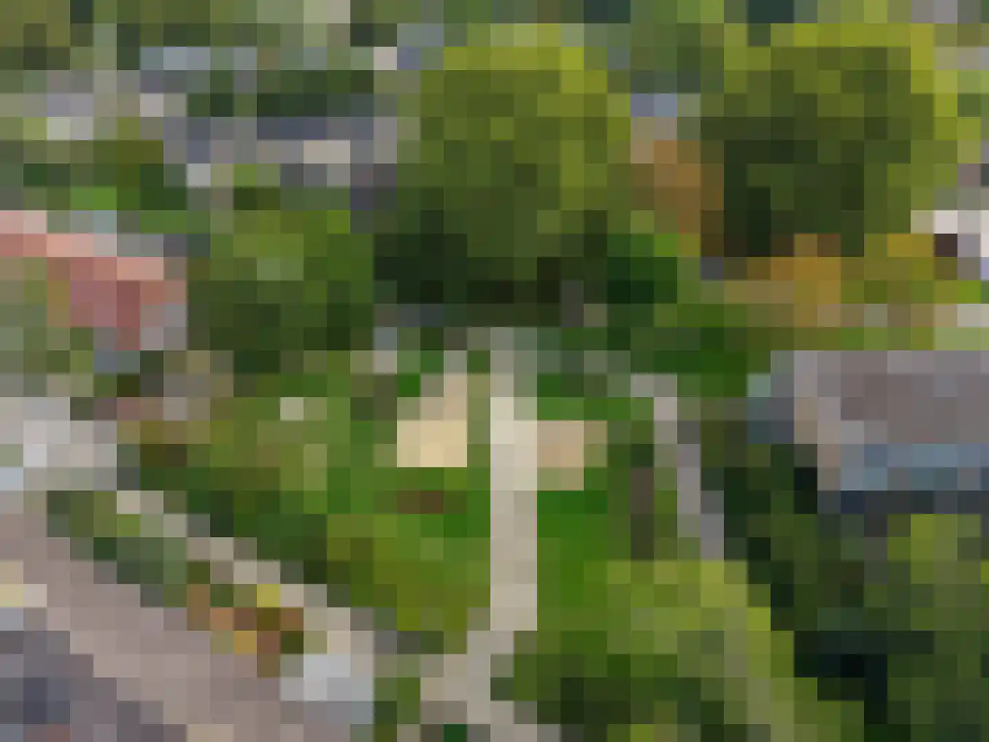 Vriezekooppad 10 Arnhem thumbnail 58