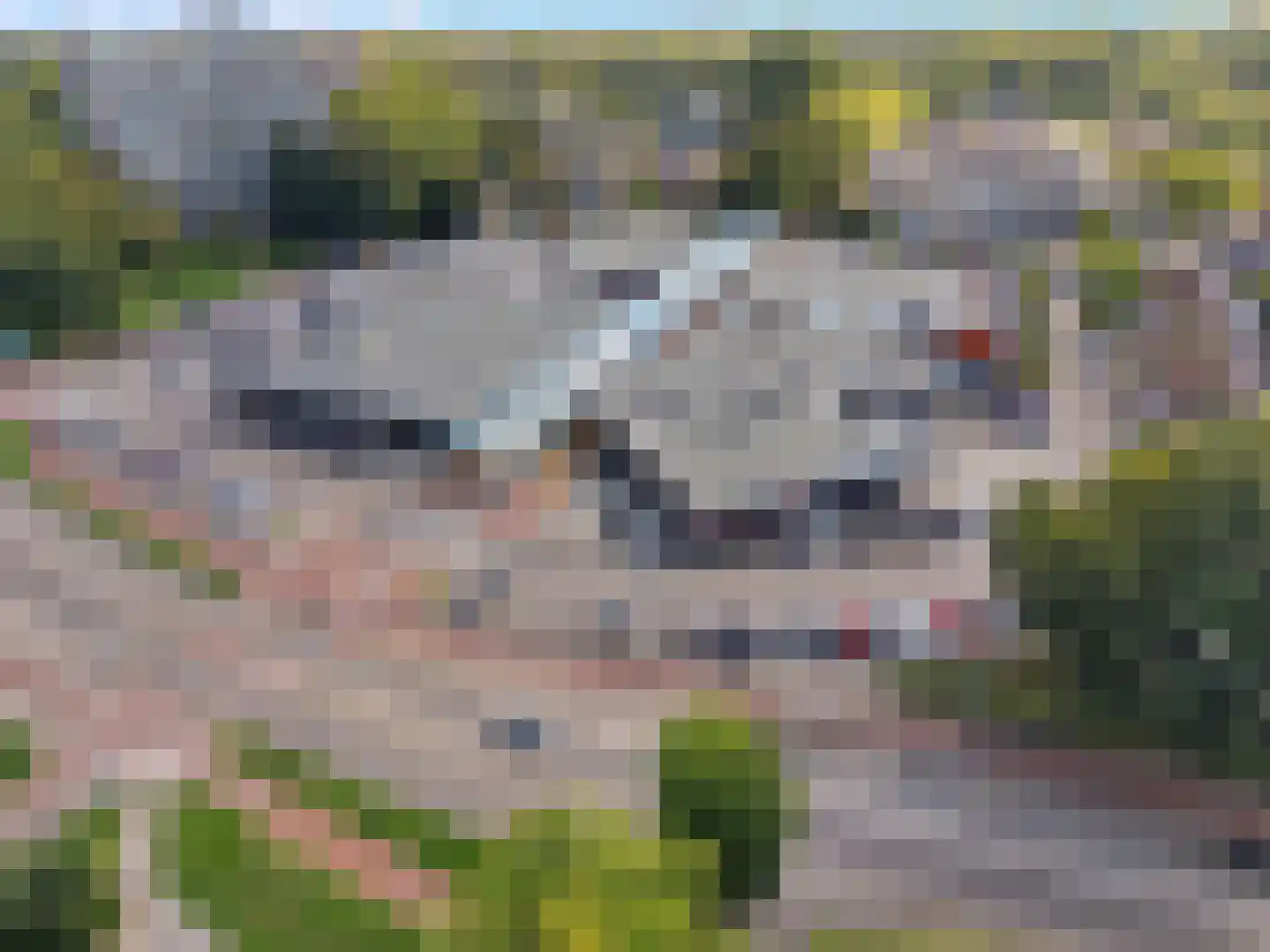 Vriezekooppad 10 Arnhem thumbnail 59