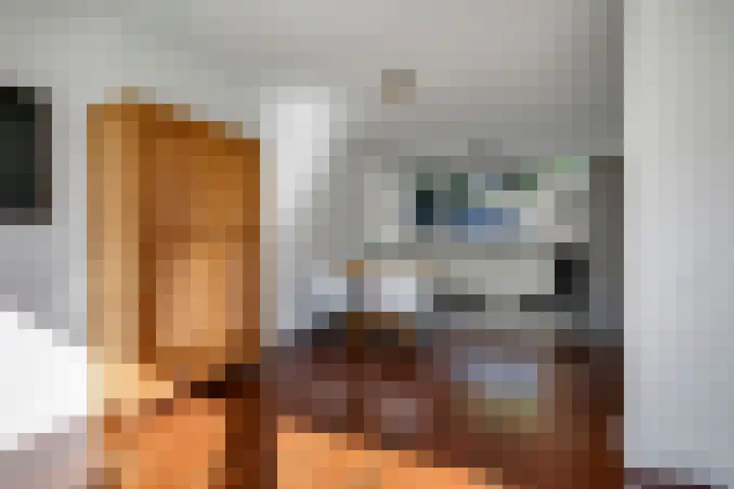Vriezekooppad 10 Arnhem thumbnail 8